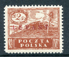 Poland Levant 1919 Overprints - 2.50m Red-brown HM (SG 11) - Levant (Turkey)