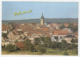 {89876} 67 Bas Rhin Sarre Union ; Vue Générale - Sarre-Union