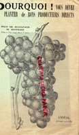 95- ARGENTEUIL- DEPLIANT FLEURY & GENDRE- BD JEANNE D' ARC- PLANTS VIGNE RAISINS NOIRS -CHASSELAS-MUSCAT HAMBOURG - Landbouw