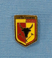 1 PIN'S //  ** BLASON / UNION TAURINE CHATEAURENARD ** - Bullfight - Corrida