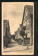 AK Havelberg, Strasse Am Bischofsberg Mit Baum - Havelberg