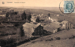 Lierneux - Panorama Du Doyard (1923, Edit Libre Echange) - Lierneux
