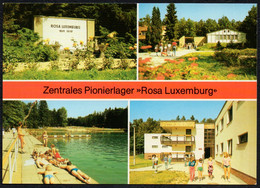 F1633 - TOP Seifhennersdorf Pionierlager Rosa Luxemburg Freibad - Bild Und Heimat Reichenbach - Seifhennersdorf