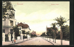 AK Salzwedel, Strasse Am Grossen Stegel - Salzwedel