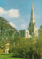 CHICHESTER CATHEDRAL, SUSSEX, ENGLAND. UNUSED POSTCARD Qq7 - Chichester