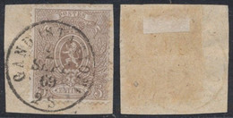 Petit Lion Dentelé - N°25 Sur Fragment Obl Double Cercle "Gand (station)". Belle Frappe / Dentelure Non Vérifiée - 1866-1867 Kleine Leeuw