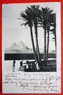 EGYPT , AU BORD DU NIL , PYRAMIDS , USED 1903 - Piramiden
