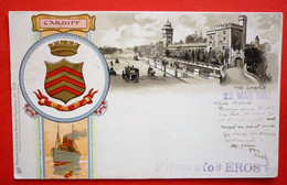 WALES - CARDIFF , OLD LITHO POSTCARD USED 1902 - Glamorgan