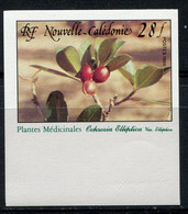 NOUVELLE-CALEDONIE N°556 ** NON DENTELE PLANTE MEDICINALE - Ongetande, Proeven & Plaatfouten