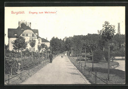 AK Burgstädt, Strasse Am Wettinhain - Burgstaedt