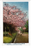 CPA-Carte Postale -Japon -Cherry Blossoms About First Torii Gate VM31869 - Nagoya