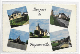 - 1843 -    FAYMONVILLE WAIMES  Bonjour  Multi Vues - Waimes - Weismes