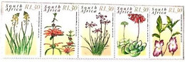 A) 2000, SOUTH AFRICA, MEDICINAL PLANTS SNAKE FLOWER, WILD MARIJUANA, WILD GARLIC, COTILEDON, WILD GINGER STRIP OF 5 - Lettres & Documents