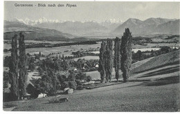 GERZENSEE: Landwirtschaftsbetrieb, Pappeln ~1910 - Gerzensee