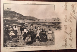 Cpa De 1902, 35.CANCALE,.L'ESSAYAGE DES SABOTS POUR LA VISITE DES PARCS A HUITRES, Animée - Cancale