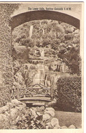 THE LOWER FALLS, VENTNOR CASCADE, ISLE OF WIGHT, ENGLAND. UNUSED POSTCARD Ag4 - Ventnor