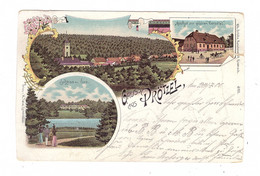 0-1261 PRÖTZEL, Lithographie 1900, Gasthof Zur Goldenen Kartoffel, Schloss, Dorfansicht, Einriss - Seelow