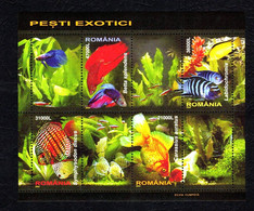 ROMANIA 1676c, 2005, #, Aquarium Fish, BLOCK OF 4, Poissons D'aquarium - Sonstige & Ohne Zuordnung