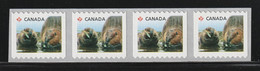 CANADA 2014 Definitives / Young Wildlife / Beaver S/ADH: Strip Of 4 Stamps (Sideways) UM/MNH - Roulettes