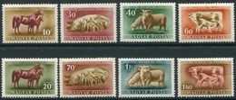 HUNGARY 1951 Livestock Breeding LHM / *.  Michel 1150-57 - Unused Stamps