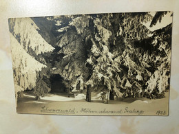 Germany Deutschland Höchenschwand Hoechenschwand Schwarzwald Wald Winter Snow RPPC Real Photo 13331 Post Card POSTCARD - Hoechenschwand