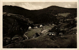 CPA AK Bad Rippoldsau Im Schwarzwald GERMANY (738835) - Bad Rippoldsau - Schapbach