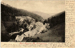 CPA AK Bad Rippoldsau Au. Schwarzwald GERMANY (738843) - Bad Rippoldsau - Schapbach