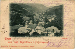 CPA AK Gruss Aus Bad Rippoldsau Im Schwarzwald GERMANY (738841) - Bad Rippoldsau - Schapbach