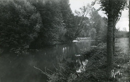 49 .n° 23606 . Montfaucon Sur Moine . Paysage Sur La Moine . Cpsm . - Montfaucon