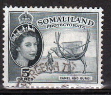 Somaliland Protectorate 1953 Queen Elizabeth Single 5 Cent Stamp In Fine Used. - Somaliland (Protectorate ...-1959)