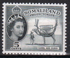 Somaliland Protectorate 1953 Queen Elizabeth Single 5 Cent Stamp In Mounted Mint - Somaliland (Protectorate ...-1959)