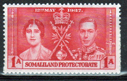 Somaliland Protectorate 1937 George VI Single 1a Stamp To Celebrate The Coronation In Unmounted Mint. - Somalilandia (Protectorado ...-1959)