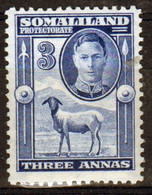 Somaliland Protectorate 1942 George VI Single Three Anna  Stamp In Mounted Mint - Somaliland (Protectorate ...-1959)