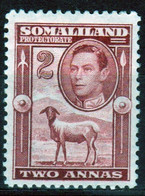 Somaliland Protectorate 1938 George VI Single Two Anna Stamp  In Mounted Mint - Somalilandia (Protectorado ...-1959)