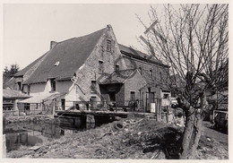 LENS - Molen / Moulin - Originele Foto Jaren '70  - Moulin De Lens  (Q256) - Lens