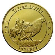 UKRAINE 1 ZLOTNIK FAUNA RED BOOK -  BLACK GROUSE BIRD TETRAO TETRIX 2020 - Ukraine