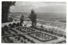 CPSM LA TRANCHE SUR MER, JARDINS DE L'HOTEL DE L'OCEAN ET LA PLAGE, Format 9 Cm Sur 14 Cm Environ, VENDEE 85 - La Tranche Sur Mer