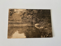 Brussel - Bruxelles - Foret De Soignes Auderghem -Etang Inférieur Des Enfants Noyés - Auderghem - Oudergem