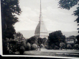 TORINO LA MOLE N1935  ID8279 - Mole Antonelliana