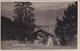 SUISSE(MAYENS DE NAX) - Nax