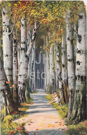 Birch Alley - Illustration By M Trube - Truebe - Series 1173 - Old Postcard - Unused - Truebe, Maxim