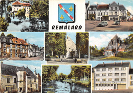 61-REMALARD- MULTIVUES - Remalard