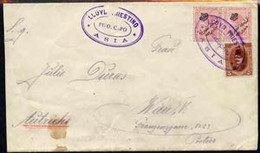 Egypt 1923 Ship Cover To Austria Cancelled By Lloyd Triestino Steamboat ASIA Cachet In Violet, Cover Slightly Reduced By - Neufs