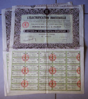 2 Actions Action De 250 Francs Au Porteur L'électrification Industrielle 30 Coupons Par Action 1933 - Elektrizität & Gas