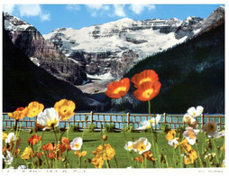 (RR 32) Canada - Lake Louise (posted To Australia) - Lake Louise