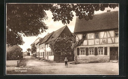 AK Werdau, Strassenblick In Die Teichgasse - Werdau