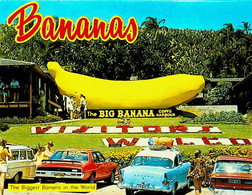 (Booklet 134 - 14-6-2021) Australia - NSW - Coffs Harbour (Big Banana) - Coffs Harbour