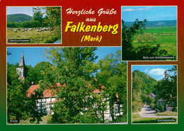 AK Falkenberg Mark Oderbruchwiesen Blick Zum Schiffshebewerk Kirche Eichholzstraße - Falkenberg (Mark)