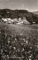 Feldis I. D. (Grb.) (2725) * 5. 8. 1955 - Feldis/Veulden