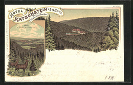 Lithographie Bad Sachsa, Hotel Katzenstein, Blick Auf Den Ort Mit Rehen - Bad Sachsa